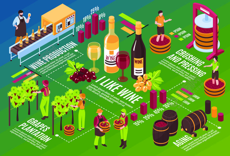 酿酒厂等距流程图饮料从绿色葡萄到绿色背景水平矢量图上的葡萄酒老化